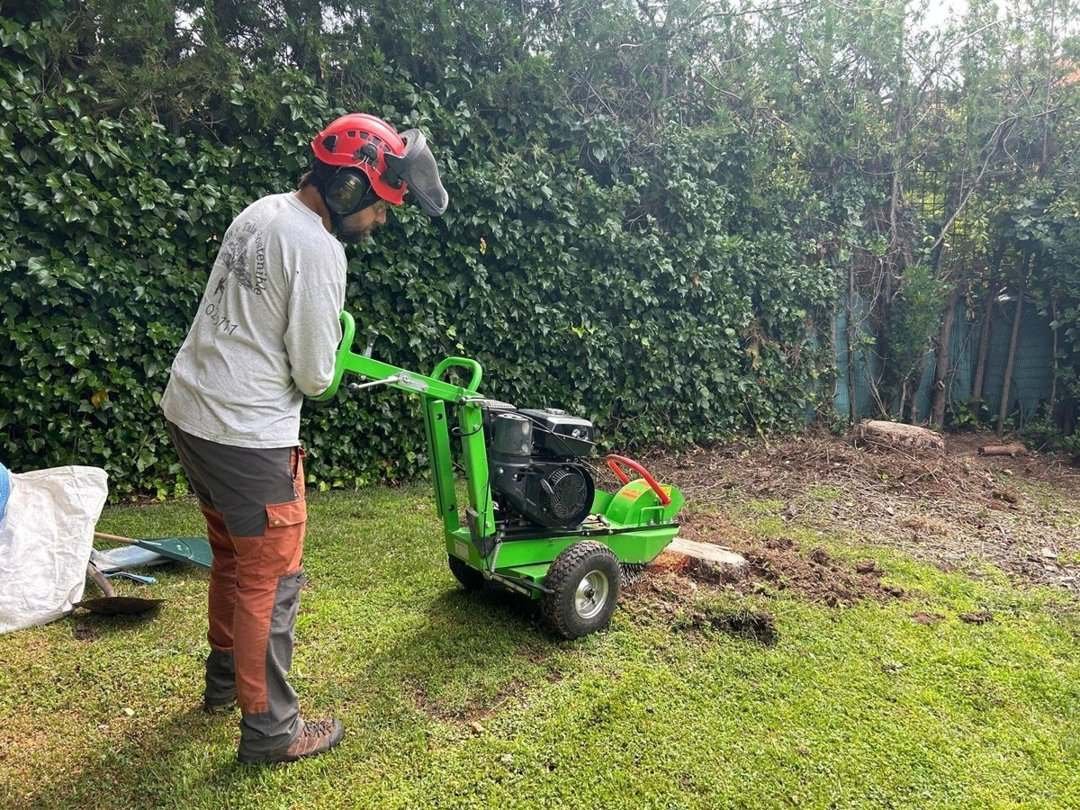 Operario con una destoconadora en el césped de un jardín