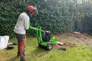 WhatsApp Image 2024-10-11 at 13.39.31